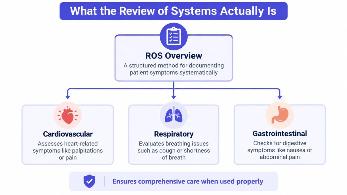 A diagram illustrating the medical Review of Systems (ROS) covering cardiovascular, respiratory, and gastrointestinal bodily systems.